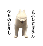 しあんその壱（個別スタンプ：31）