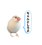 うちのおこめさん。2（個別スタンプ：10）