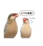 うちのおこめさん。2（個別スタンプ：14）