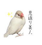 うちのおこめさん。2（個別スタンプ：16）