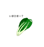 ご機嫌野菜（個別スタンプ：24）
