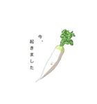 ご機嫌野菜（個別スタンプ：34）