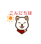 白柴犬ちびキャラ顔スタンプ2（個別スタンプ：3）