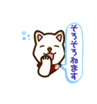 白柴犬ちびキャラ顔スタンプ2（個別スタンプ：34）