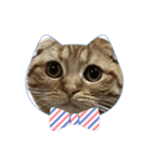 ふたりのねこすたんぷ（個別スタンプ：14）