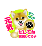 柴犬パルちゃんてんちゃんのラインスタンプ（個別スタンプ：6）