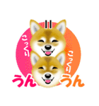 柴犬パルちゃんてんちゃんのラインスタンプ（個別スタンプ：13）