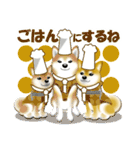 柴犬パルちゃんてんちゃんのラインスタンプ（個別スタンプ：21）