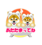 柴犬パルちゃんてんちゃんのラインスタンプ（個別スタンプ：23）