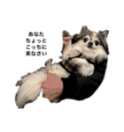 修正版再び喋るおちち（個別スタンプ：2）