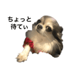 修正版再び喋るおちち（個別スタンプ：9）