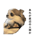 修正版再び喋るおちち（個別スタンプ：14）