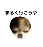 修正版再び喋るおちち（個別スタンプ：16）
