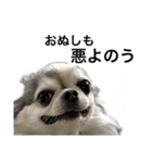 修正版再び喋るおちち（個別スタンプ：19）