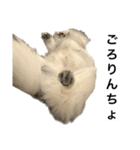 修正版再び喋るおちち（個別スタンプ：20）
