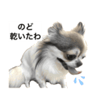 修正版再び喋るおちち（個別スタンプ：21）