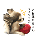 修正版再び喋るおちち（個別スタンプ：24）
