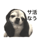 修正版再び喋るおちち（個別スタンプ：31）