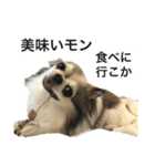 修正版再び喋るおちち（個別スタンプ：32）