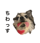修正版再び喋るおちち（個別スタンプ：35）