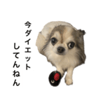 修正版再び喋るおちち（個別スタンプ：39）