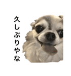 修正版再び喋るおちち（個別スタンプ：40）