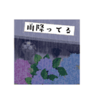 ねこうめ（個別スタンプ：7）