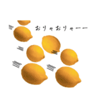 国産レモン（個別スタンプ：24）