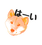 めけ☆めもり〜ず わん（個別スタンプ：40）