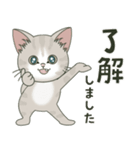 仔猫のぽんにゃん【敬語deあいさつ】（個別スタンプ：1）