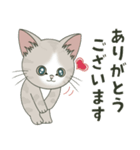 仔猫のぽんにゃん【敬語deあいさつ】（個別スタンプ：8）