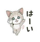 仔猫のぽんにゃん【敬語deあいさつ】（個別スタンプ：29）