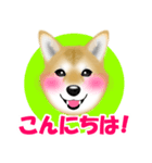 柴犬柚子ちゃんのラインスタンプです。（個別スタンプ：2）