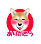 柴犬柚子ちゃんのラインスタンプです。（個別スタンプ：3）