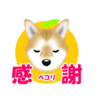 柴犬柚子ちゃんのラインスタンプです。（個別スタンプ：4）