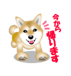 柴犬柚子ちゃんのラインスタンプです。（個別スタンプ：6）