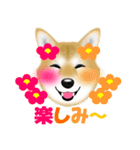 柴犬柚子ちゃんのラインスタンプです。（個別スタンプ：12）