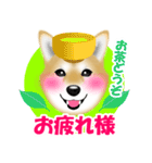 柴犬柚子ちゃんのラインスタンプです。（個別スタンプ：13）