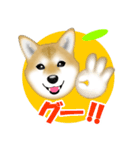 柴犬柚子ちゃんのラインスタンプです。（個別スタンプ：16）