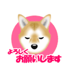 柴犬柚子ちゃんのラインスタンプです。（個別スタンプ：18）