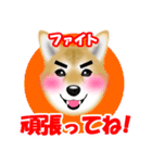 柴犬柚子ちゃんのラインスタンプです。（個別スタンプ：19）