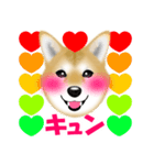 柴犬柚子ちゃんのラインスタンプです。（個別スタンプ：21）