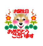 柴犬柚子ちゃんのラインスタンプです。（個別スタンプ：22）