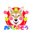 柴犬柚子ちゃんのラインスタンプです。（個別スタンプ：23）