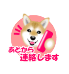 柴犬柚子ちゃんのラインスタンプです。（個別スタンプ：24）