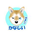 柴犬柚子ちゃんのラインスタンプです。（個別スタンプ：25）