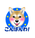 柴犬柚子ちゃんのラインスタンプです。（個別スタンプ：29）