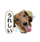 カニンヘン兄弟2（個別スタンプ：9）