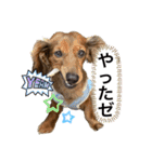 カニンヘン兄弟2（個別スタンプ：12）