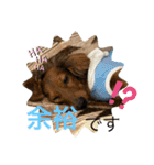 カニンヘン兄弟2（個別スタンプ：18）